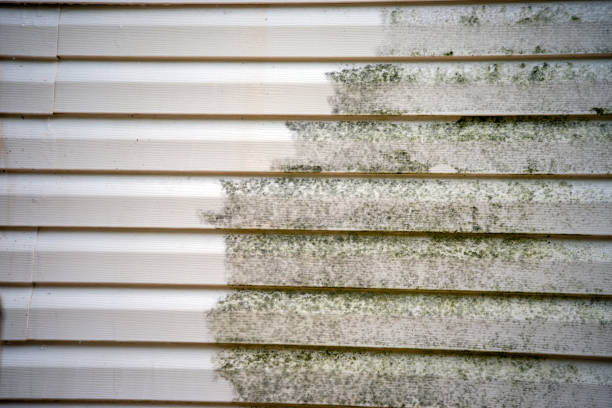Best Mattress Disposal  in Buellton, CA